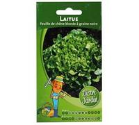 Sachet De Graines Laitue A Couper Feuille Ch Äne G