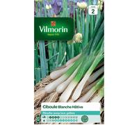 Vilmorin - Sachet graines Ciboule Blanche Hâtive