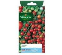 Sachet graines Tomate cerise G