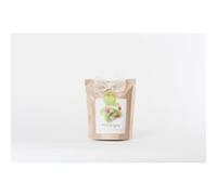 Sachet Life in a bag Grow Bag Fraise G