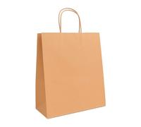 Sacs boutique kraft poignées torsadées ivoire 40 x 35 x 14 cm - 50 sacs