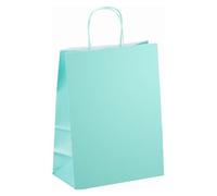 Sacs boutique kraft poignées torsadées vert d'eau 30 x 23 x 12 cm - 50 sacs