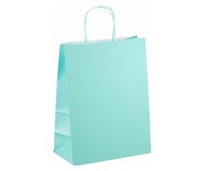 Sacs boutique kraft poignées torsadées vert d'eau 30 x 23 x 12 cm - 50 sacs