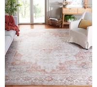 SAFAVIEH Tapis Traditionnel Rug Idéal pour Les Zones à Fort Passage - Lavable en Machine et Antidérapant - Tucson Collection, Tapis à Poil Court, in Gris Clair et Rouille, 76 x 305 cm