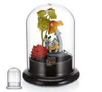 SAFIGLE Bouteille en Verre pour DIY Surface Lisse et Résistance Corrosion, pour Salon, Décor Micro Flacon Paysage et Charme Chaleureux