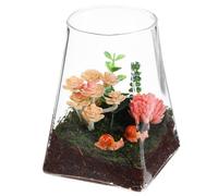 SAFIGLE Vases à Fleurs en Verre à Fond carré et Rond pour Propagation de Plantes et décoration intérieure de Bureau