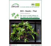 SAFLAX -- Basilic - Thaï - 250 graines - Ocimum