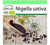 SAFLAX - BIO - Nigelle cultivée - 300 graines - Nigella sativa