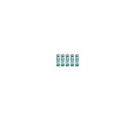 Saft 5 PILE Lithium LR6 3,6V 2600mAh AA- LS 14500