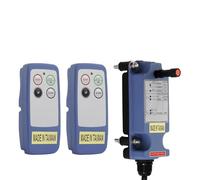 Saga-L4 Mini Télécommande sans fil pour pont roulant grue pour industriel 2 canaux boutons Treuil radio Emetteur et récepteur (2 émetteurs+1 récepteur, 220 V AC)