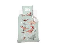 SAHINLER créateur d'univers Jurassic World - Housse De Couette Jurassic World Dinosaure 140x200 cm + 1 Taie d'oreiller 63x63 cm - Vert d'eau