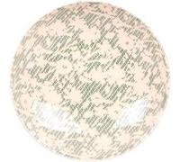 Saladier Léa vert 24 cm - Table Passion - Vert - Grès Vert G