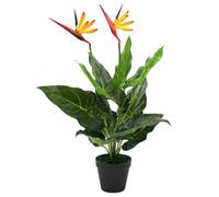 ""SALE 2026"" Multicolore - Plante artificielle Strelitzia Reginae Oiseau de Paradis 66cm PRO876179524