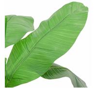 ""SALE 2026""Plante artificielle aspect réaliste Vert - Bananier artificiel 9 feuilles 120 cm vert 3.7 Kg3347642