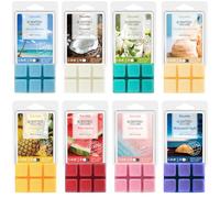 SALKING Fondants de cire parfumée d'Été pour lampes parfumées, 100% bougies de cire de soja parfumées, senteurs d'noix de coco, mojito, glace à la vanille, coffret cadeau pour Vacances d'Été, 8 packs