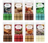 SALKING Fondants de Cire parfumée d'hiver pour Lampes parfumées, 100% Bougies de Cire de soja parfumées, senteurs d'épices de Pain d'épices et de Cannelle, Coffret Cadeau pour Halloween, Noël, 8 Packs