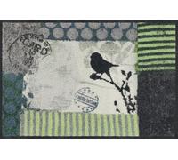 Salonloewe Paillasson Little Blackbird - 50 x 75 cm - Lavable et passe au sèche-linge - Antidérapant - Anti-saleté - Motif oiseau - Vert - En caoutchouc et polyamide