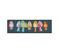 Salonloewe Paillasson Rainbow Birds 030 x 100 cm Parking à chaussures