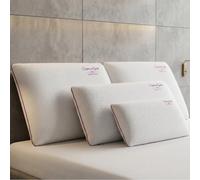 SAMPUR Oreiller Bonne Fête 60 * 60 | Support apaisant mi-Ferme | Mémoire de Forme 45 Kg/m3 | Maintien Parfait de la Nuque