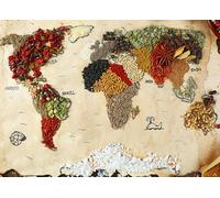 Sanders & Sanders papier peint panoramique carte du monde beige, rouge et vert 375 x 270 cm