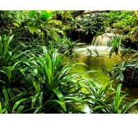 Sanders & Sanders papier peint panoramique cascade vert 375 x 270 cm