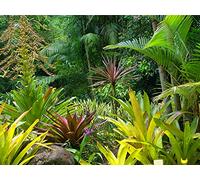 Sanders & Sanders papier peint panoramique jungle vert 375 x 270 cm