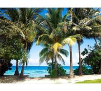 Sanders & Sanders papier peint panoramique paysage tropical avec des palmiers vert et bleu 375 x 270 cm