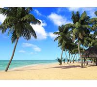 Sanders & Sanders papier peint panoramique plage bleu, beige et vert 375 x 270 cm