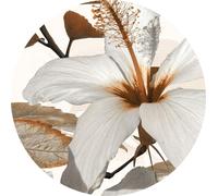 Sanders & Sanders papier peint panoramique rond adhésif fleur de lys blanc et marron Ø 140 cm