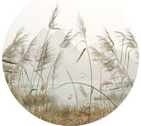 Sanders & Sanders papier peint panoramique rond adhésif paysage tropical avec des flamants roses beige, rose et gris Ø 140 cm