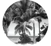 Sanders & Sanders papier peint panoramique rond adhésif paysage tropical avec des palmiers noir et blanc Ø 140 cm