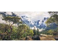 Sanders & Sanders Poster Paysage Vert et Gris - 612568 - 200 x 100 cm