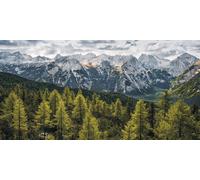 Sanders & Sanders Poster Paysage Vert et Gris - 612570 - 200 x 100 cm