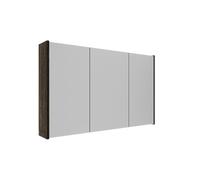 Saniclass Holz Frame Armoire miroir - 100x63x16cm - incluant panneaux latéraux - Chêne charcoal SW1420837/SW1212817