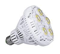 SANSI Ampoule LED E27 30W 5000K Blanc Froid, Ampoule Incandescente 200W Équivalent, Ampoule LED Puissante 4000LM Non-dimmable pour Garage Entrepôt Sous-sol Magasin (Angle de rotation 120°)