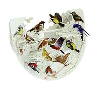 SANTORO Popnrock, Carte De Vœux Pop-Up 3D - Oiseaux De Jardin - Pour Elle, Pour Lui, Anniversaire