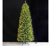 Sapin Artificiel Étroit, Sapin Crayon PE | Toucher Fin,Installation Facile,Déco Polyvalente,Petit Espace,Coin Escalier(3m/9.8ft,Green C)