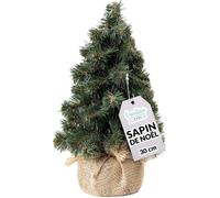 Sapin de Noël Artificiel - Creative Home - 30 cm - Vert foncé - Support en jute - Intérieur/Extérieur