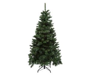 SAPIN VENTUEUX PIC 180CM