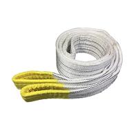 SaryEdge Élingue de Levage de Charges et de Marchandises - Sangle de Levage résistante à l'usure - Sangles de Transport tissées Multicouches pour Meubles volumineux, 5 t,5t-4M