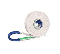 SaryEdge Sangles de Levage et de Transport Robustes pour Meubles, électroménager, Matelas, etc. Idéales pour Les déménageurs (6 t - 7 m).,6t-7M