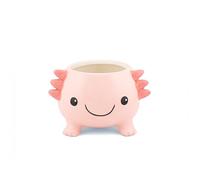 Sass & Belle Jardinière Axolotl