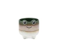 Sass & Belle Mojave Frog Pot de fleurs