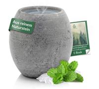 Sauna : pierre naturelle, bac à arômes résistant à la chaleur pour les infusions