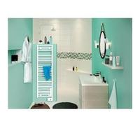 SAUTER Seche serviette Goreli Digital - 750W - Blanc Blanc G