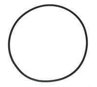 Sawhamale Joint torique en silicone pour filtre de piscine Hayward CXFHR1001 RGX45G pour Swim Clear C100S C150S C200S Single Element Serie et RG450 RG700 Grid Element série D E