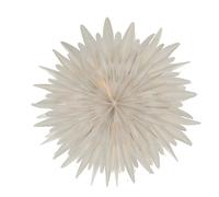 Scandi Living Étoile de l'avent blanche à pois Luna Ø80 cm