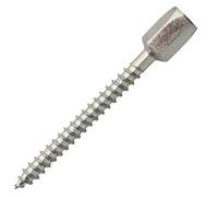 SCELL-IT FJA70116 Piton Femelle PAVB pour Tige filetée 6x100 SCELL-IT-PFWM6-boîte de 50