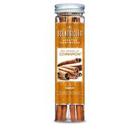 Scentsicles Lot de 6 bâtonnets Parfum Cannelle, Orange