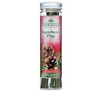 Scentsicles Lot de 6 bâtonnets parfumés de Noël Pin Snowberry